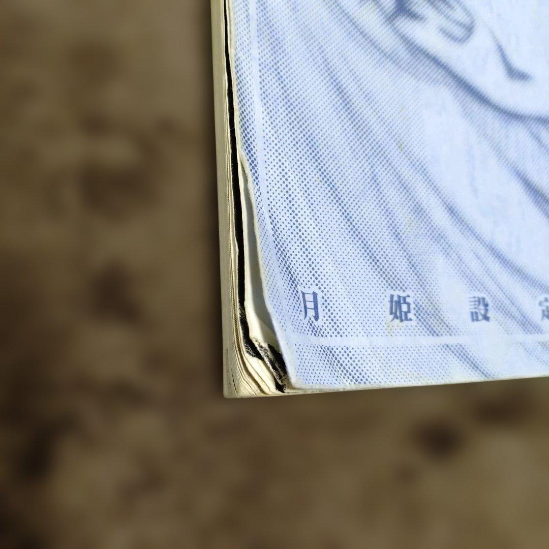 月姫読本 青本 初版 状況悪 TYPE-MOON タイプムーン - メルカリ