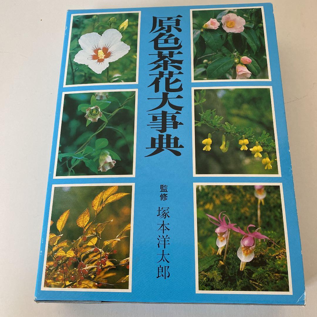 原色茶花大事典 新版 茶花大事典 | 書籍,茶道書,茶花 | 淡交社 本のオンラインショップ