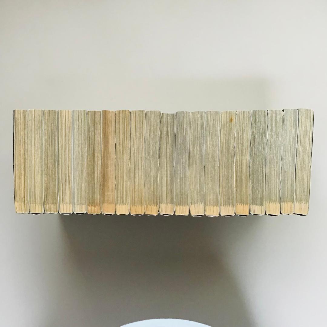 【初版25冊】アカギ 1〜36巻（32〜35巻抜け）全32冊セット