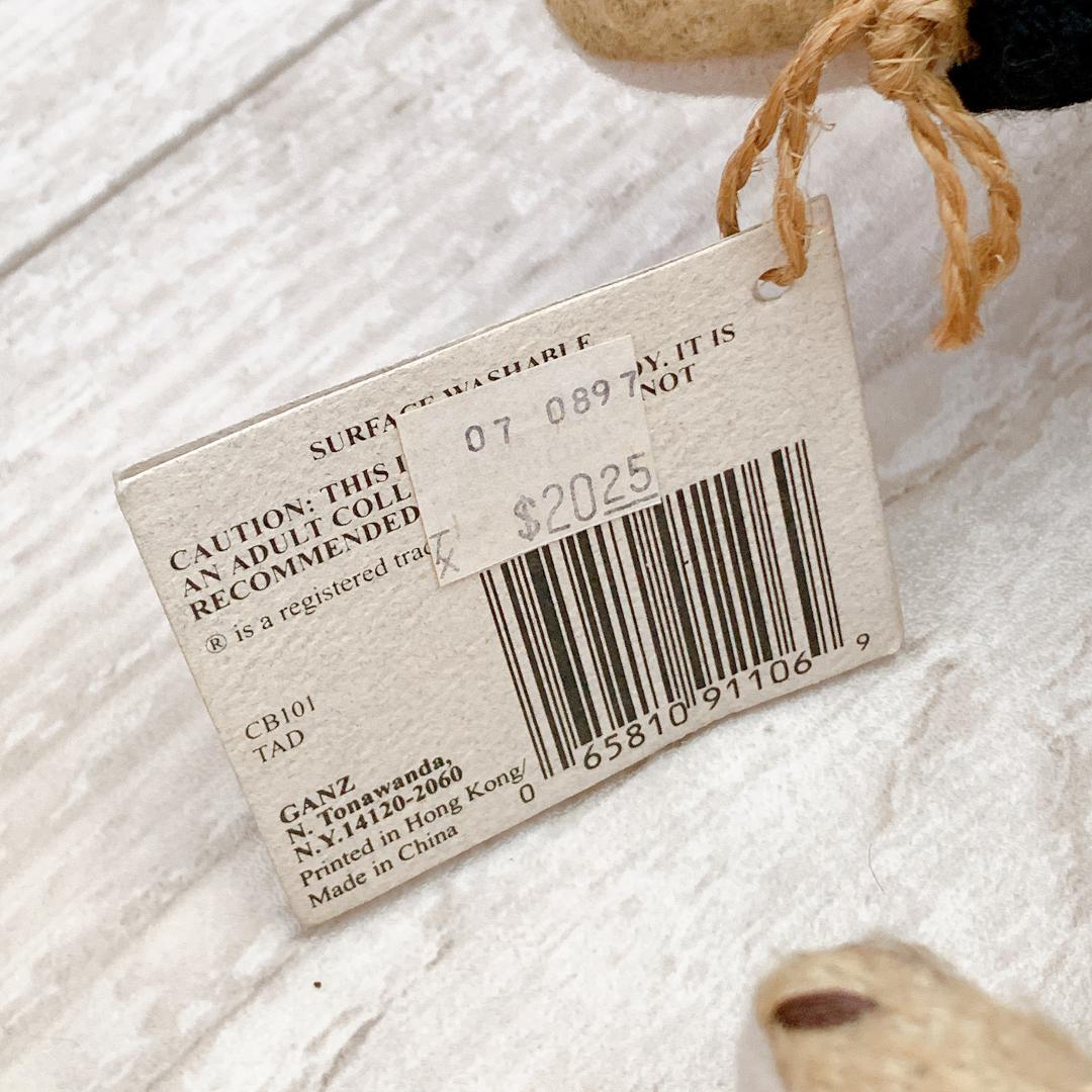 タグ付】ノースアメリカンベア＆Ganz社製 テディベア2体セット☆海外