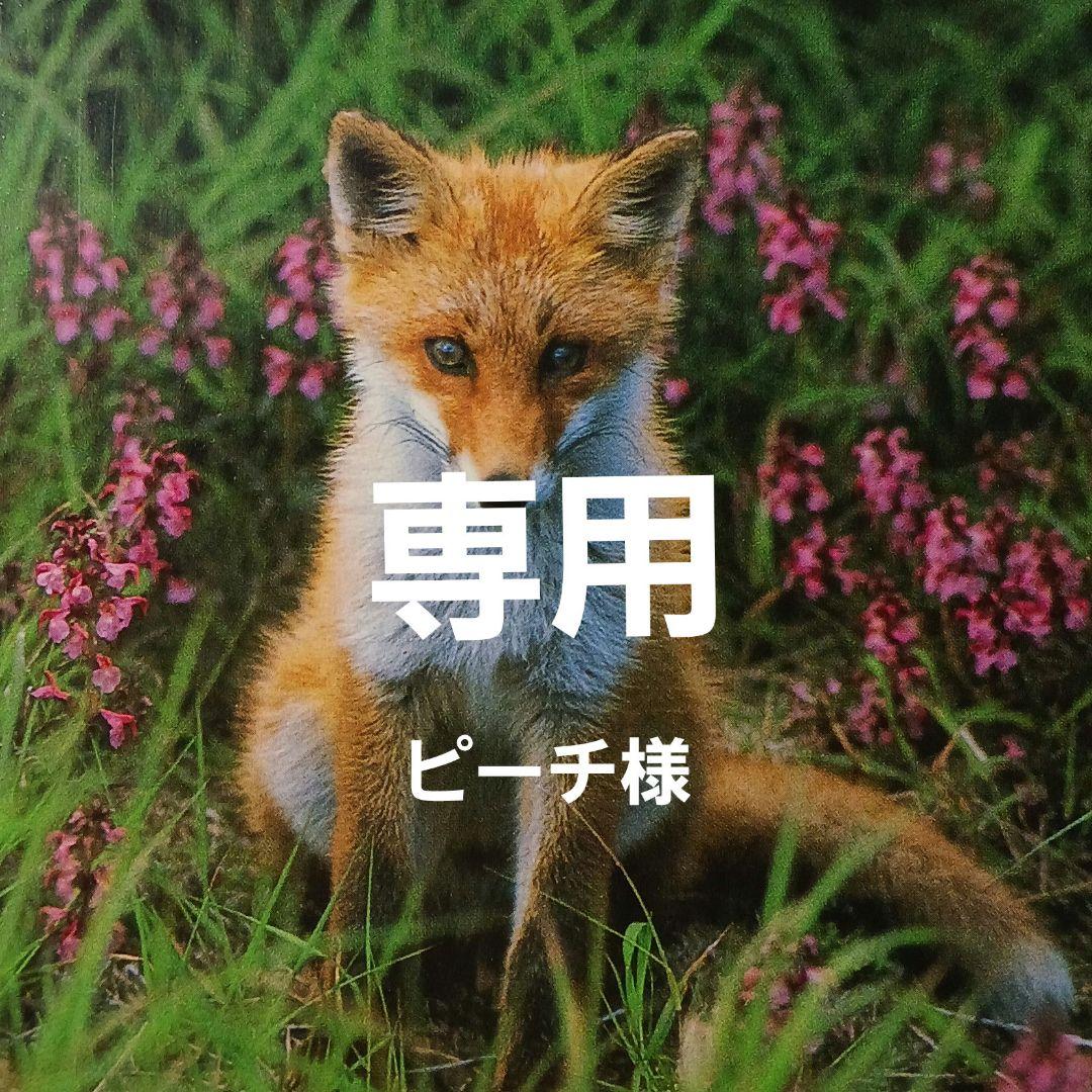 専用 ピーチ様ぺち様専用 ピーチ様専用 ピーチ様専用♪ 公式】Peach ピーチ