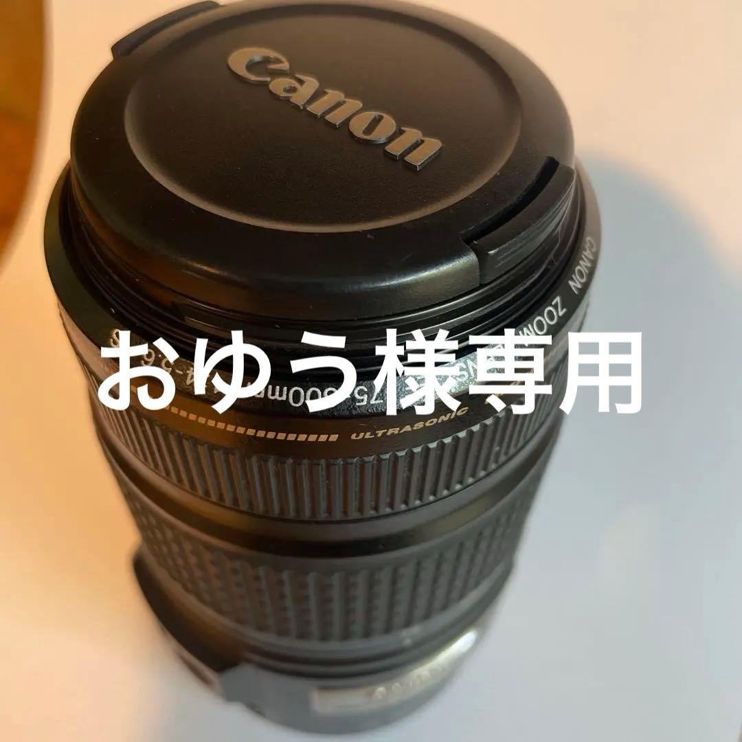 Canon EF 75-300mm f/4-5.6 IS レンズ