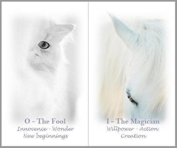 【正規品タロットカード】美麗✨美しい白の世界のタロット✨入手困難海外デッキ バッキングが白色】Celestial Carnival Tarot Deck【タロットカード