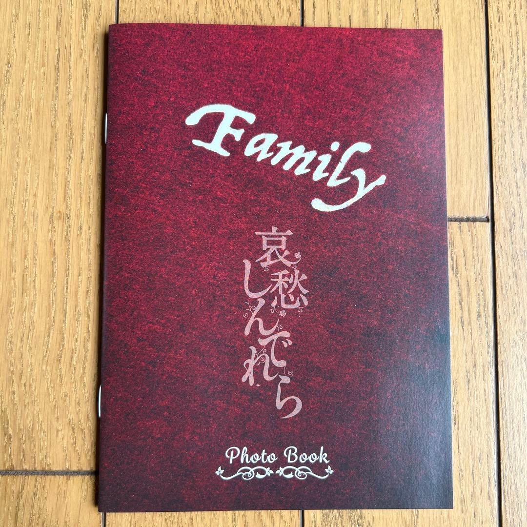 最終値下！Radiant Varmin MERCURY FUR パンフ 高橋一生