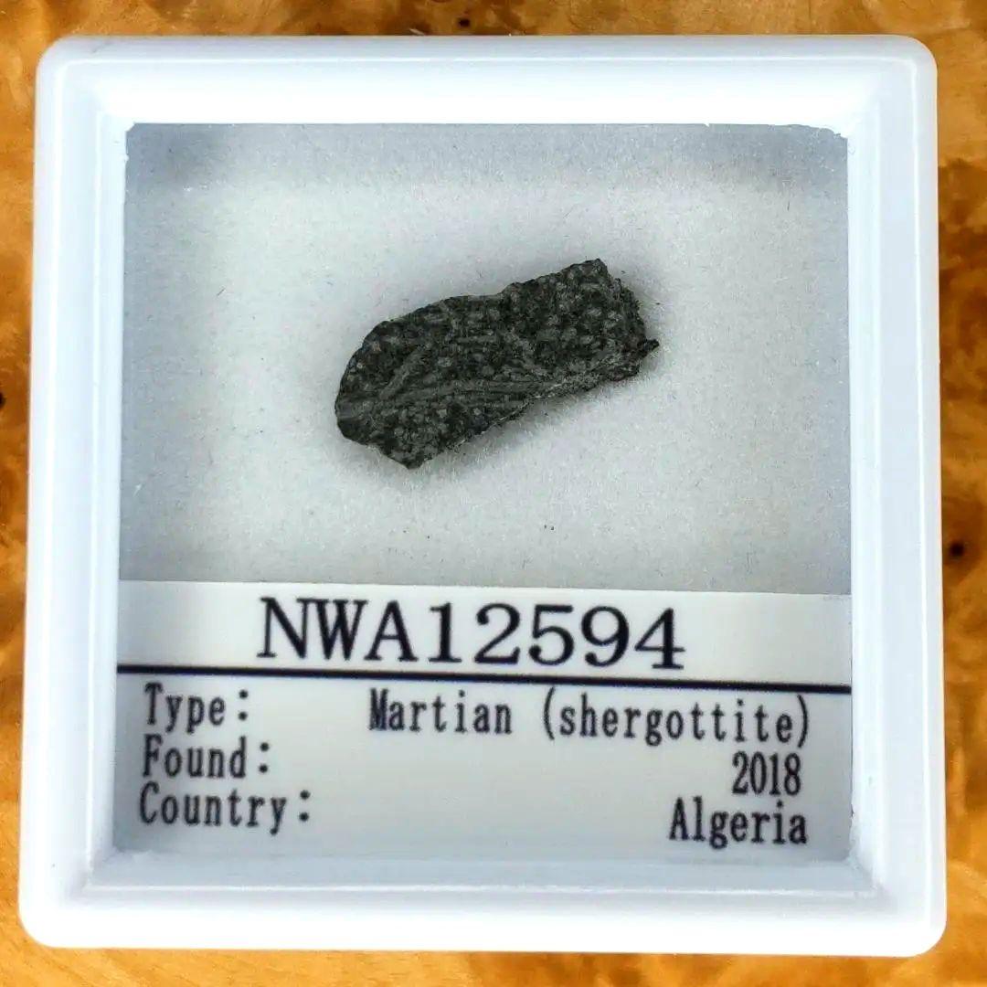 火星の石！シャーッゴッタイト　 NWA 12594　隕石標本　大 NWA 12564 火星隕石(Shergottite) 894 49.63g - 鉱物標本・隕石標本