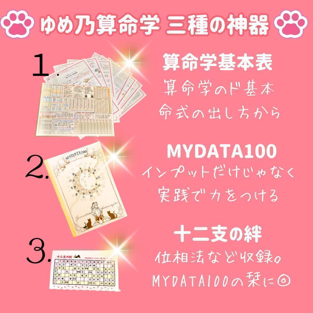 【￥11,000引】ゆめ乃算命学　本気のフルハウス　算命学　独学