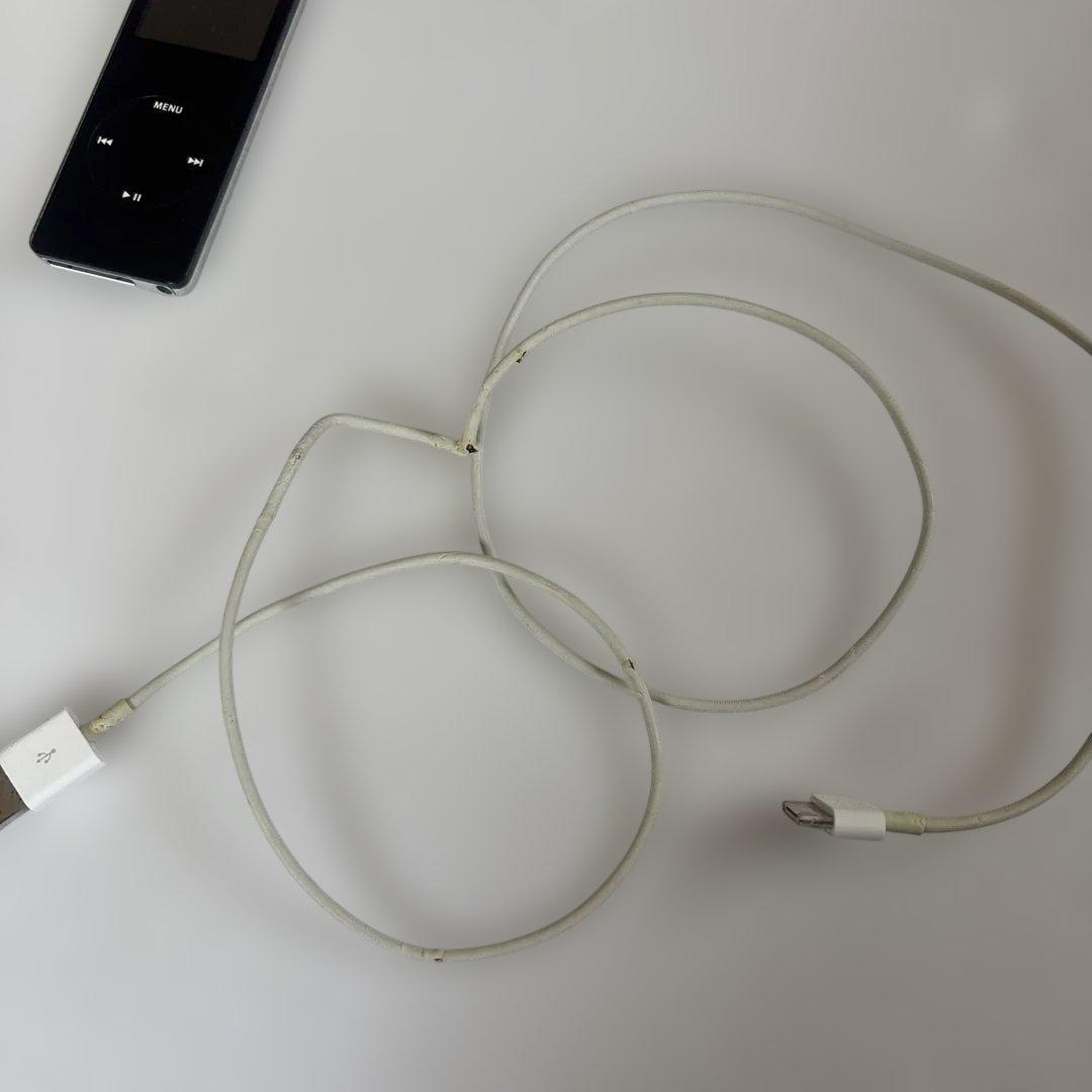 Apple iPod シルバー 充電ケーブル付き - メルカリ