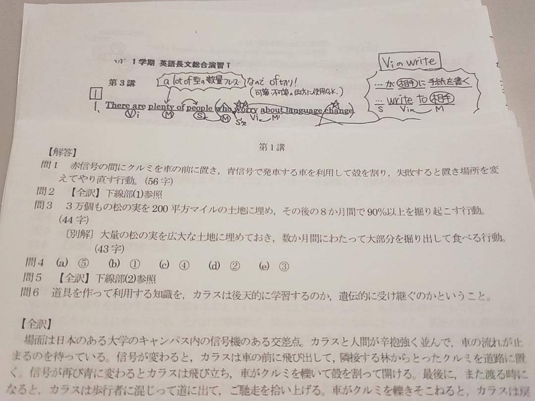 河合塾の登木先生の長文総合英語T講義プリントセット 駿台 鉄緑会 東進