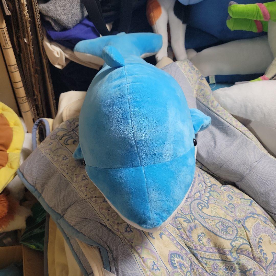 イルカぬいぐるみ ノベルティ、販促品、粗品、景品用としてオススメなイルカぬいぐるみ