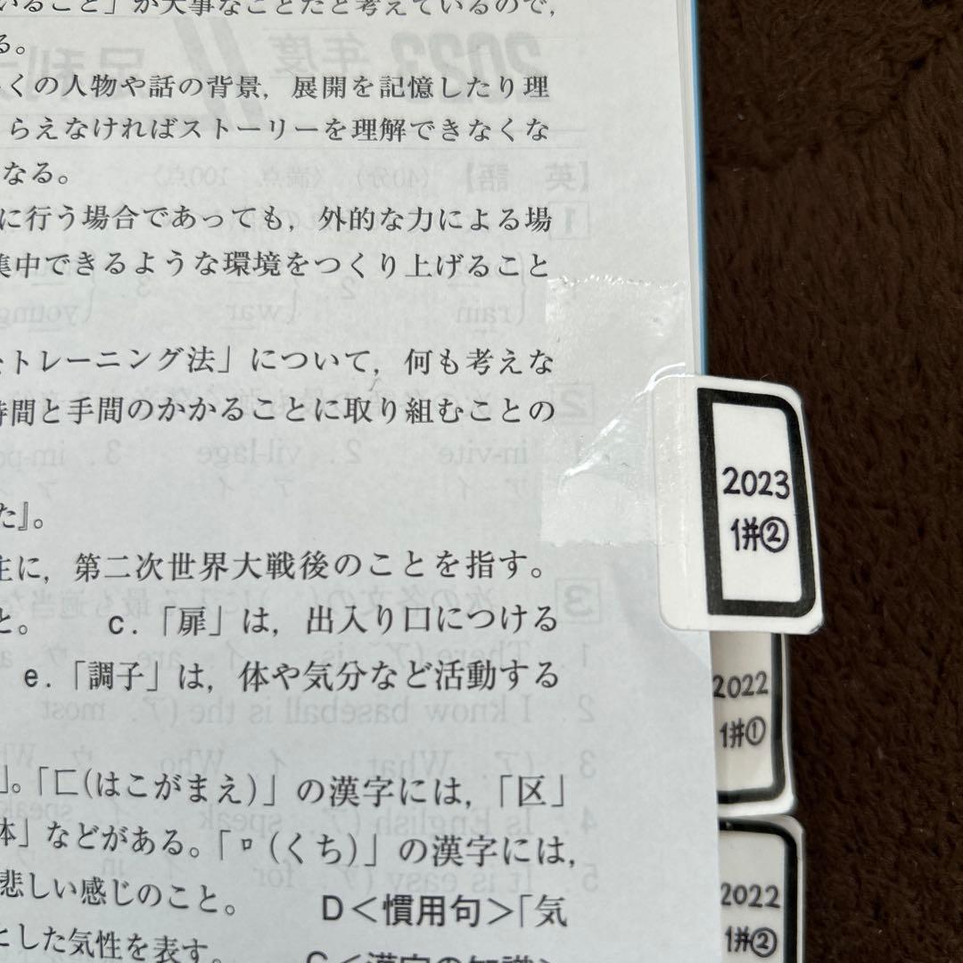 エトピリカ　確認用 EXCERIA PLUS microSDメモリカード（(型番)KLMPAE*シリーズ） | KIOXIA