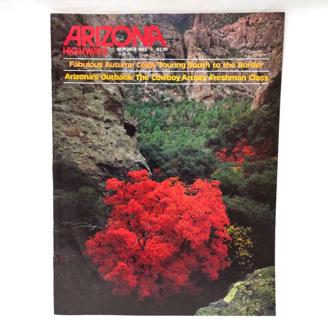 ARIZONA HIGHWAYS 1983年 11冊 アリゾナハイウェイ 洋書 - メルカリ