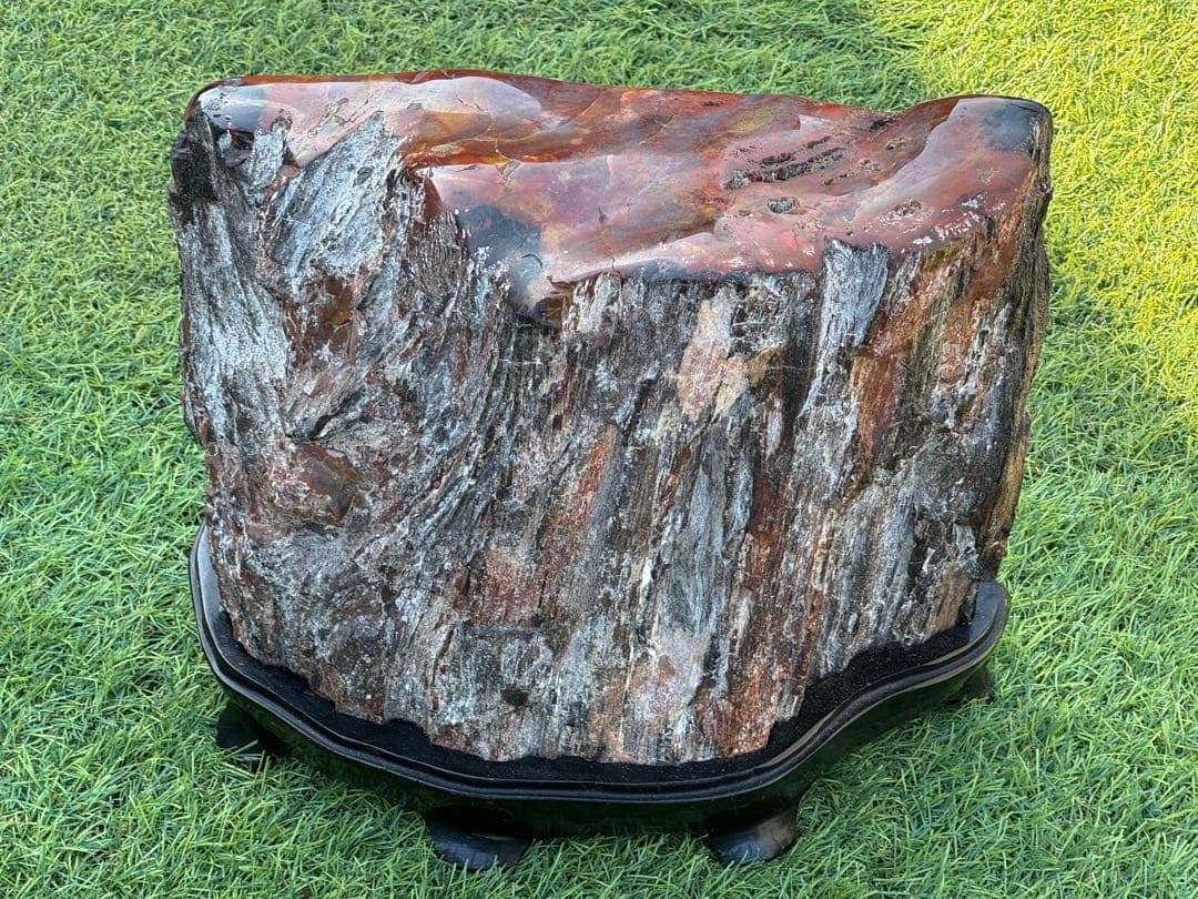 珪化木 木化石 鑑賞石 天然石 水晶 色石 赤石 赤玉石 アリゾナ珪化木