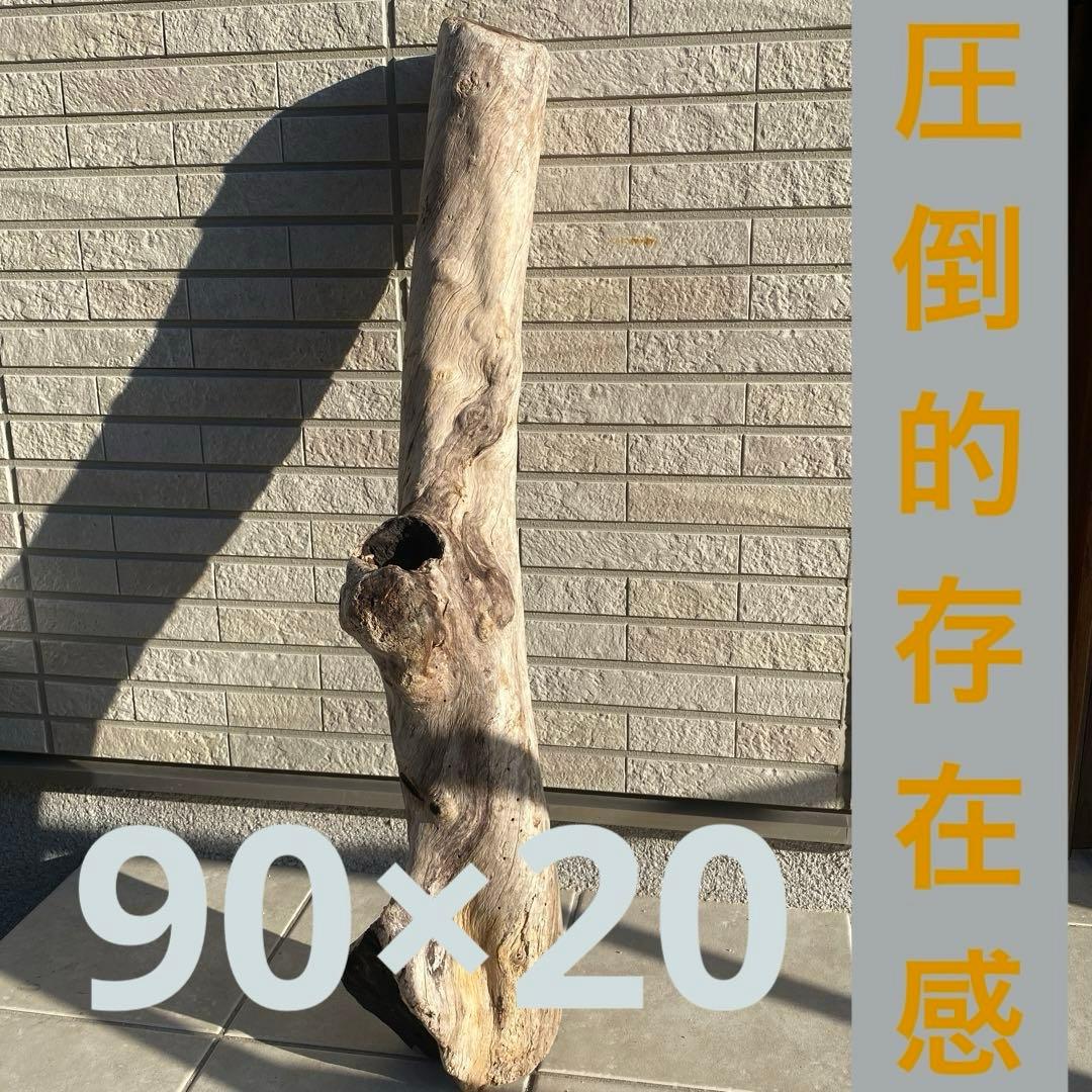 ドラミン様専用】棚キノコ 付コルクシェルターM ③④