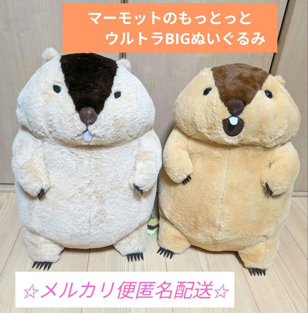 マーモットのもっとっと ウルトラBIGぬいぐるみ2点セット - メルカリ