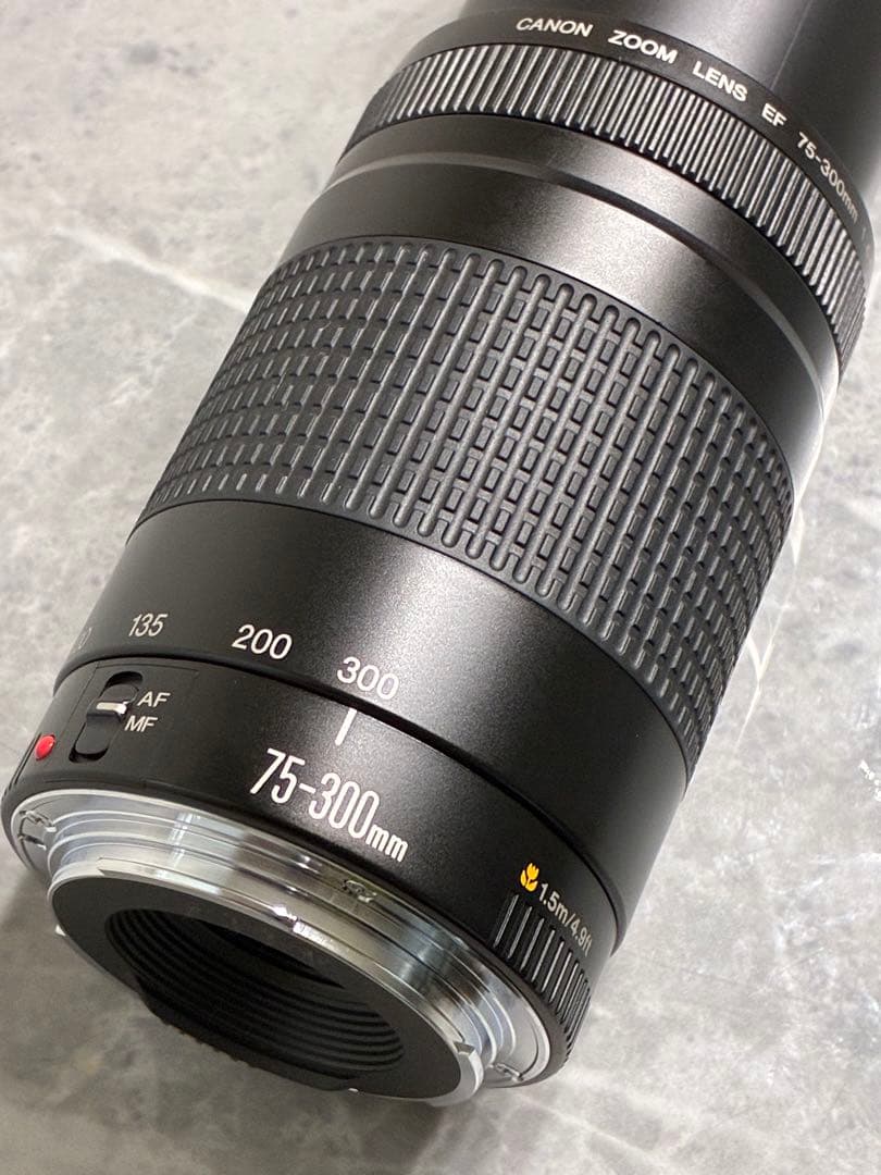 ⭐️美品⭐️Canon EF 75-300mm F/4-5.6 II 望遠レンズ