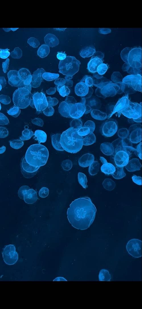 カリナ ペンミ トレカ 芽生 Amazon.co.jp: aespa Armageddon MY power Ver. カリナ トレカ : おもちゃ