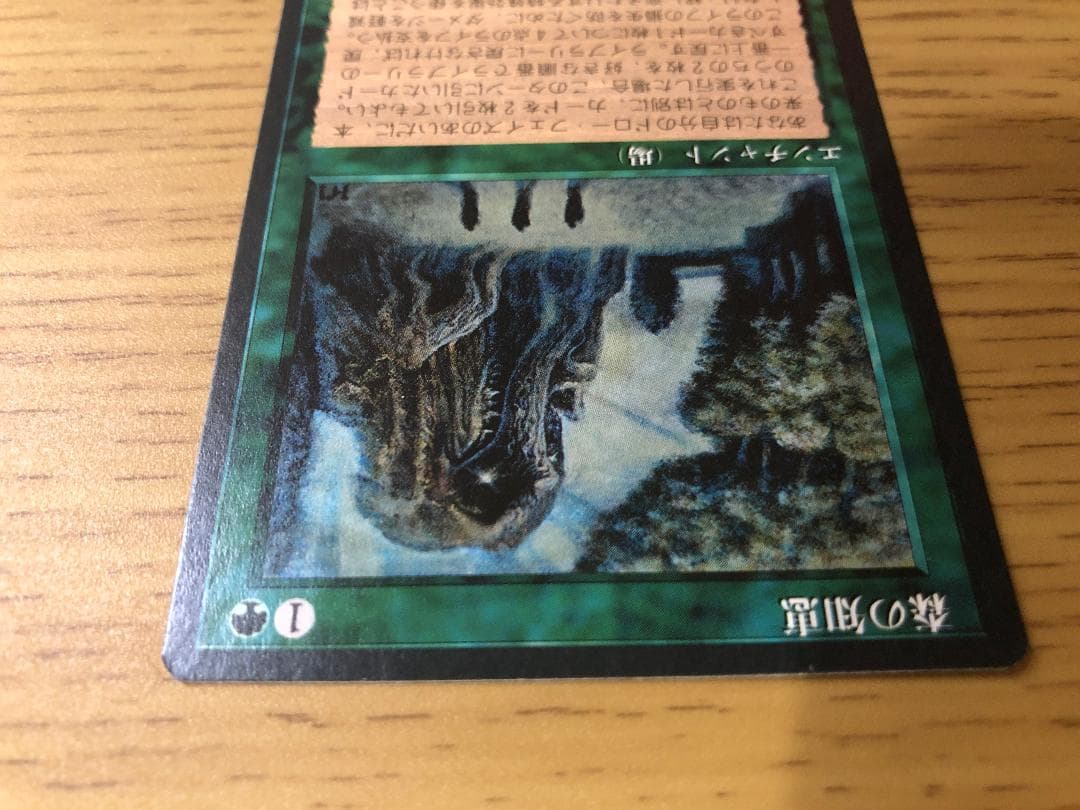 第4版 日本語黒枠フルコンプリートセット 4EDBB 極楽鳥 魔力の櫃 森の