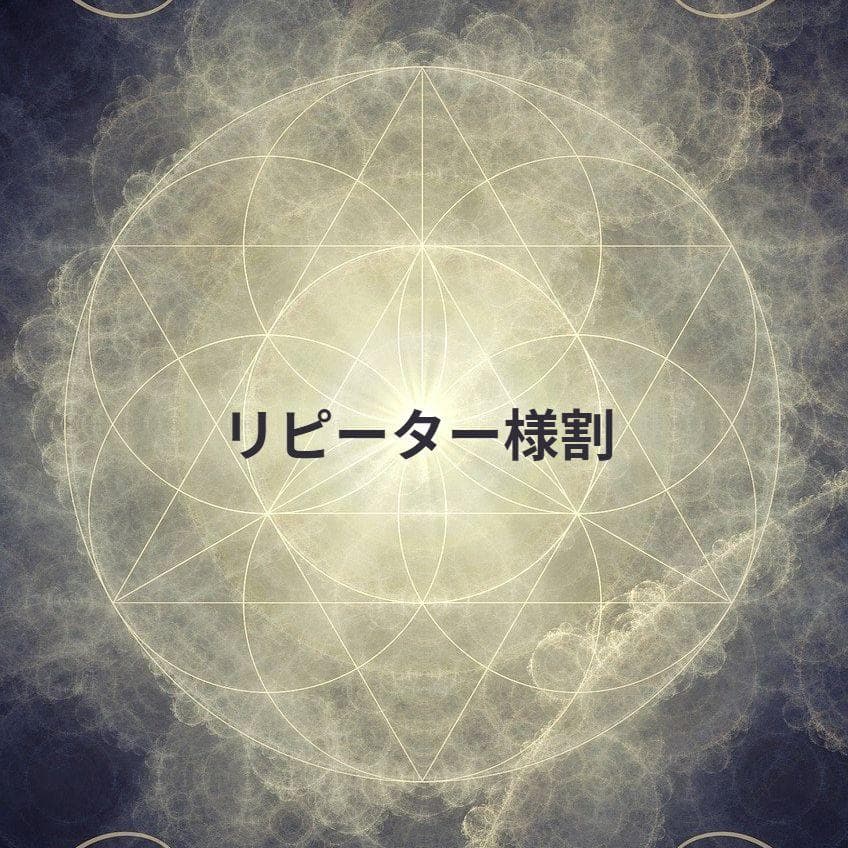 てぃ★リピーター様割 トリックスター / Ninja ZX-4RR / ZX-4R SE(24-26) 政府認証スリップ