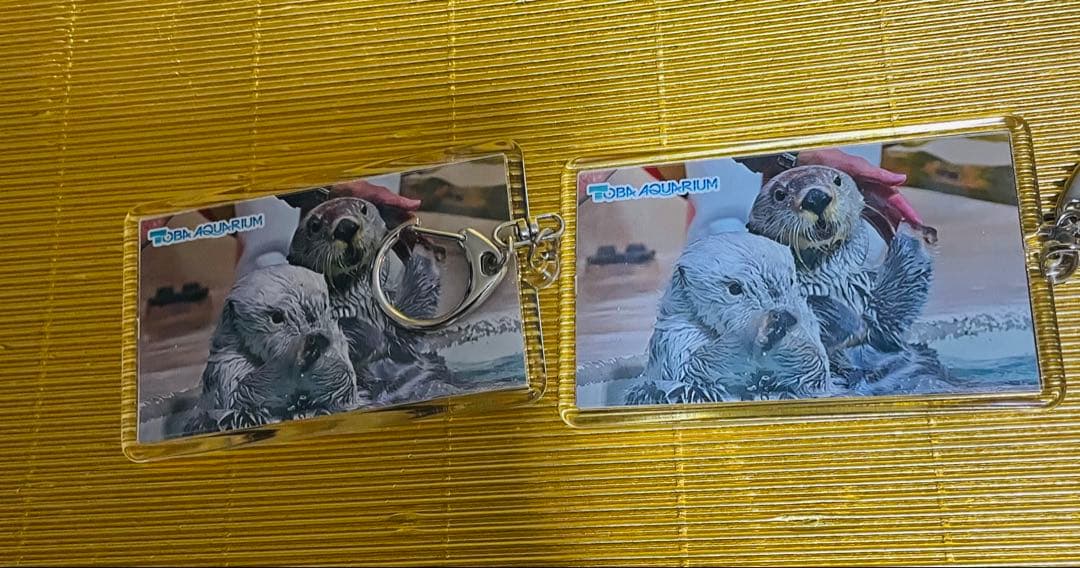 鳥羽水族館⭐️ラッコ⭐️キラ✖️メイ⭐️キーホルダー⭐️4種8個セット