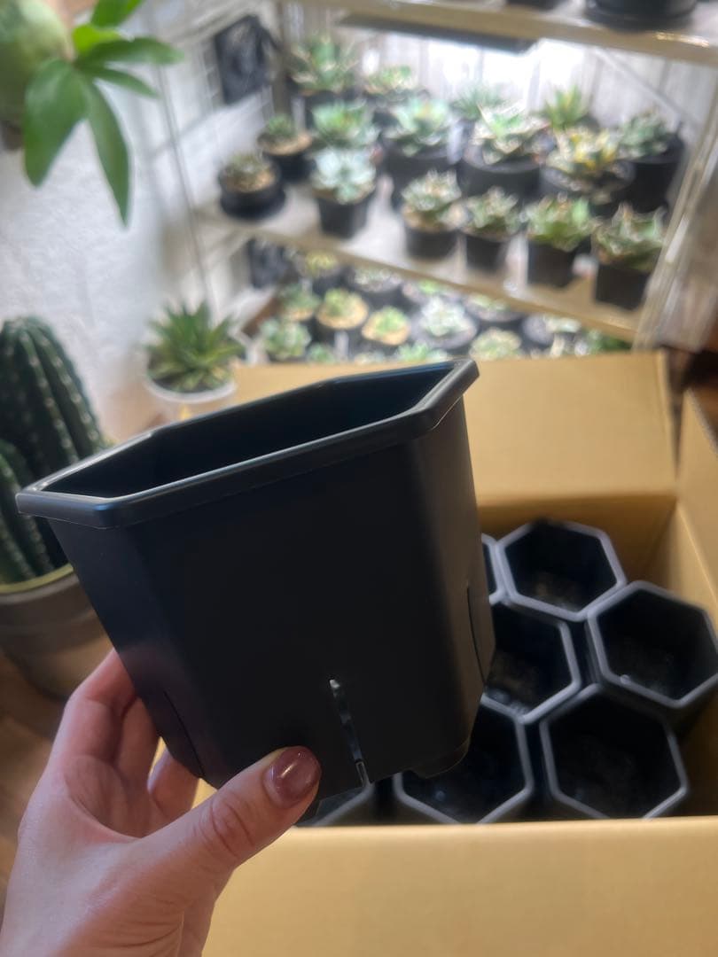 【専用】HexaPot （ヘキサポット）5号 サイズ 20個セットスリット鉢 鉢 HexaPot（ヘキサポット）六角形プラ鉢 5号相当 – linkplants -リンク