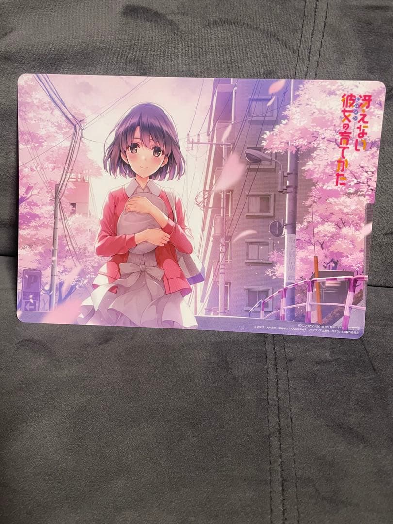 選択可能】冴えない彼女の育て方 クリアファイル(購入希望金額コメント