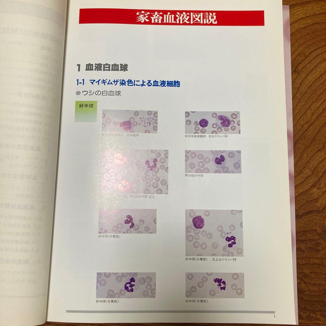 家畜血液図説 チクサン出版