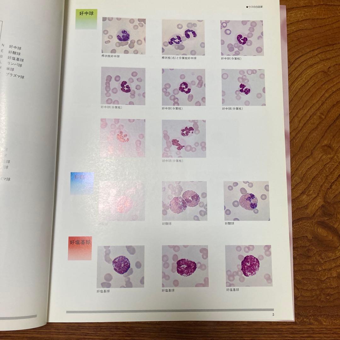 家畜血液図説 チクサン出版