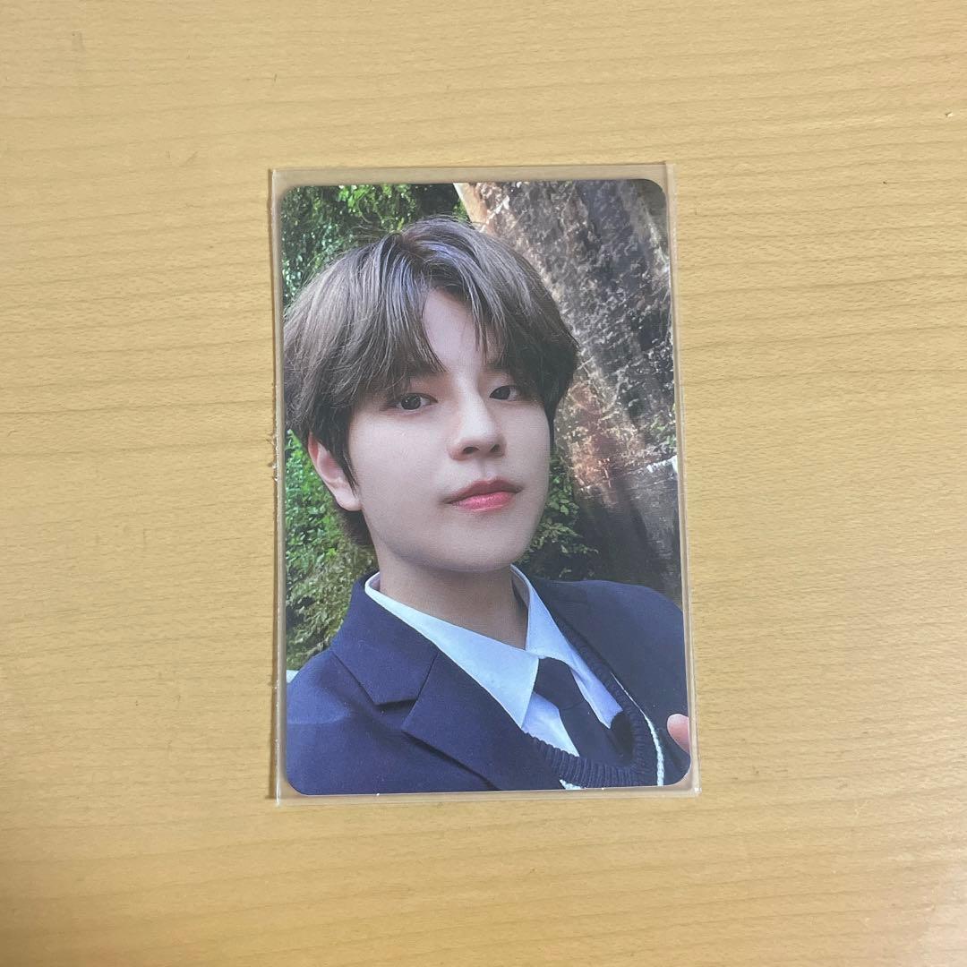 SEVENTEEN HYBE INSIGHT ランダム トレカ 104種 コンプ