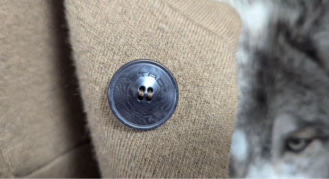 ETRO ウルフ柄チェスターコート】メンズ エトロ 48