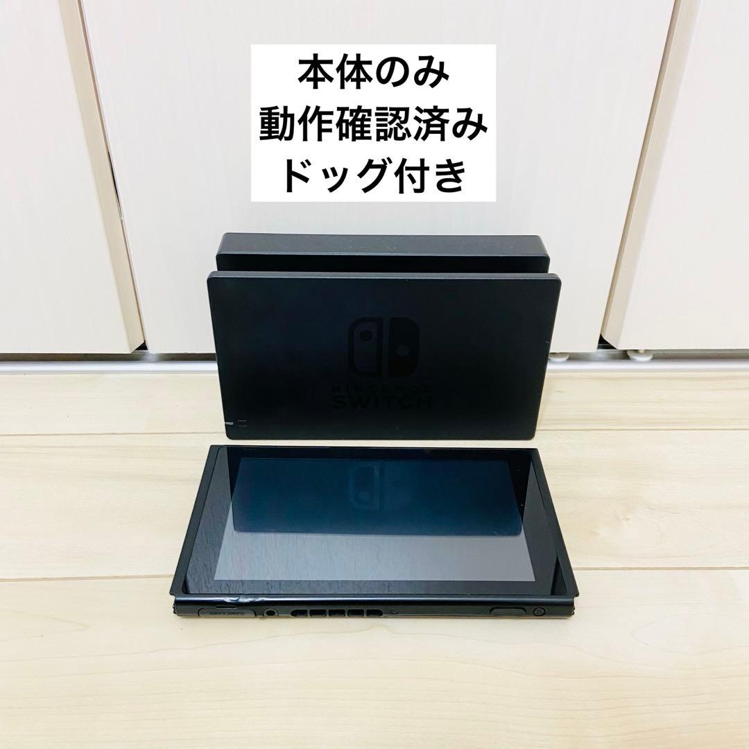 動作確認済】Nintendo Switch ニンテンドースイッチ 本体とドッグ