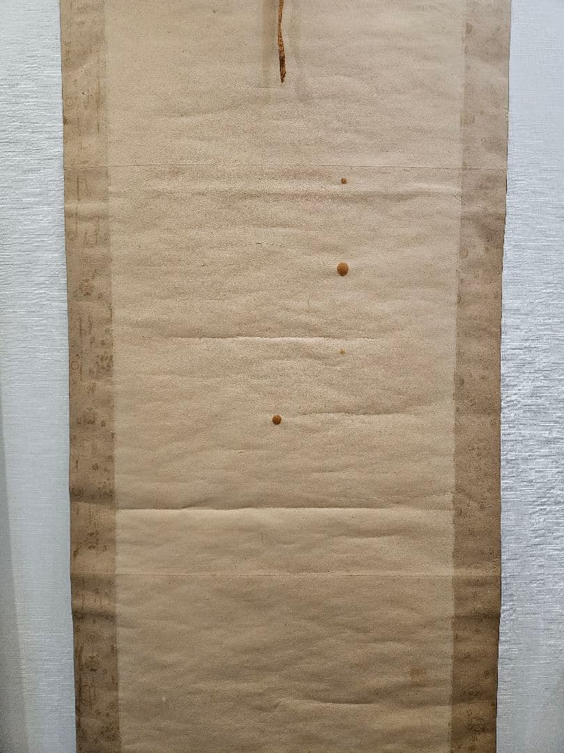 佐伯岸駒 虎之図 極細密 肉筆 絹本 江戸期絵師 掛軸 - メルカリ