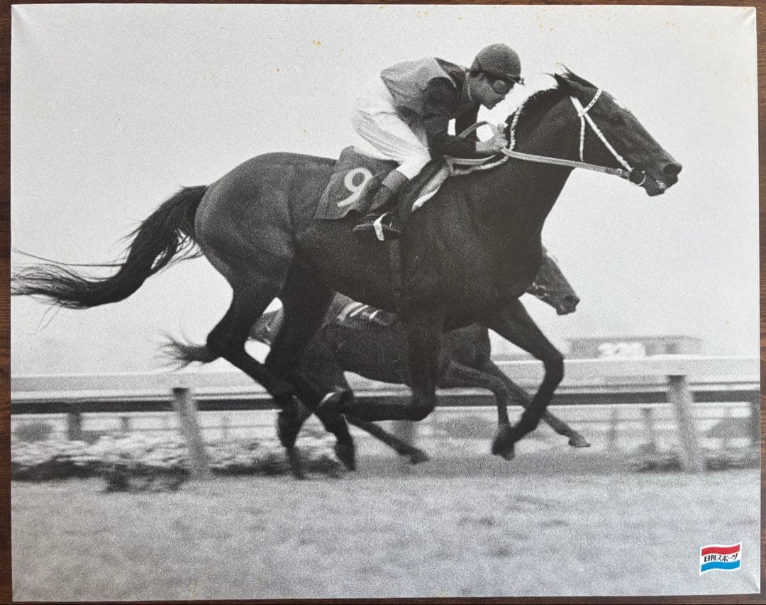 シンザン　昭和40年天皇賞 競馬パネル 日刊スポーツ 2025/01/13 日刊スポーツ賞シンザン記念 出走登録馬詳細データ＜枠確定