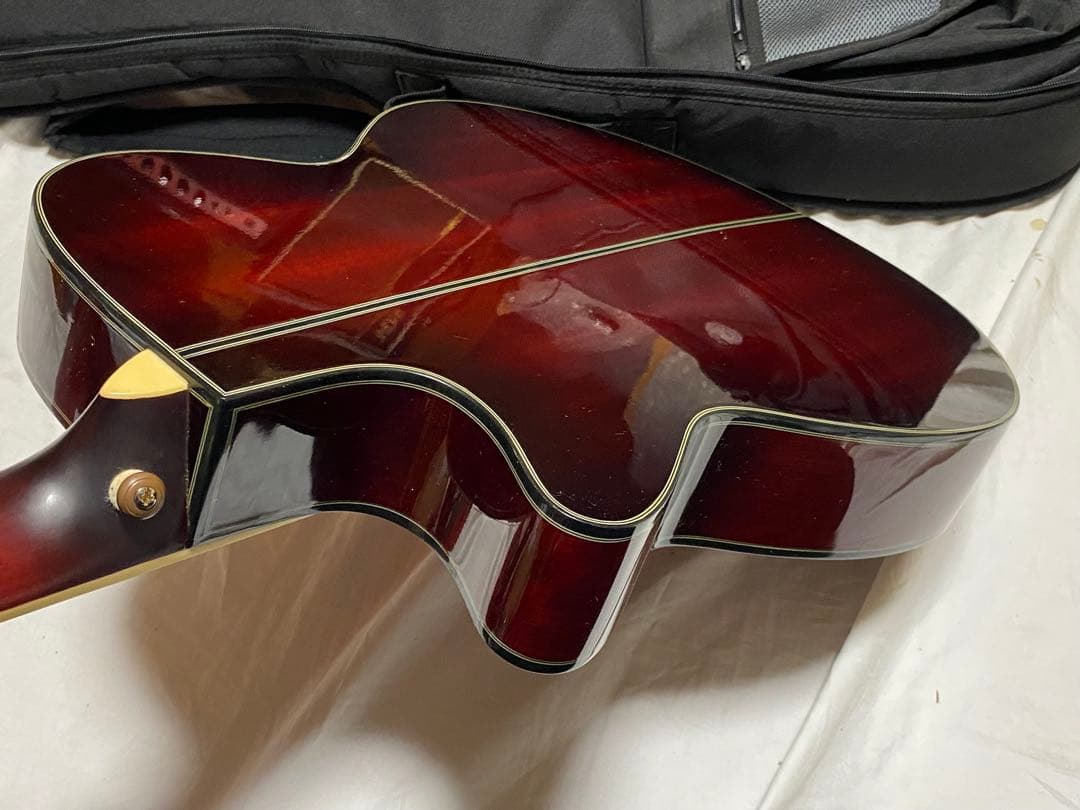 Ibanez エレアコギター AEC24Ⅱ ソフトケース付美品1948-06-1