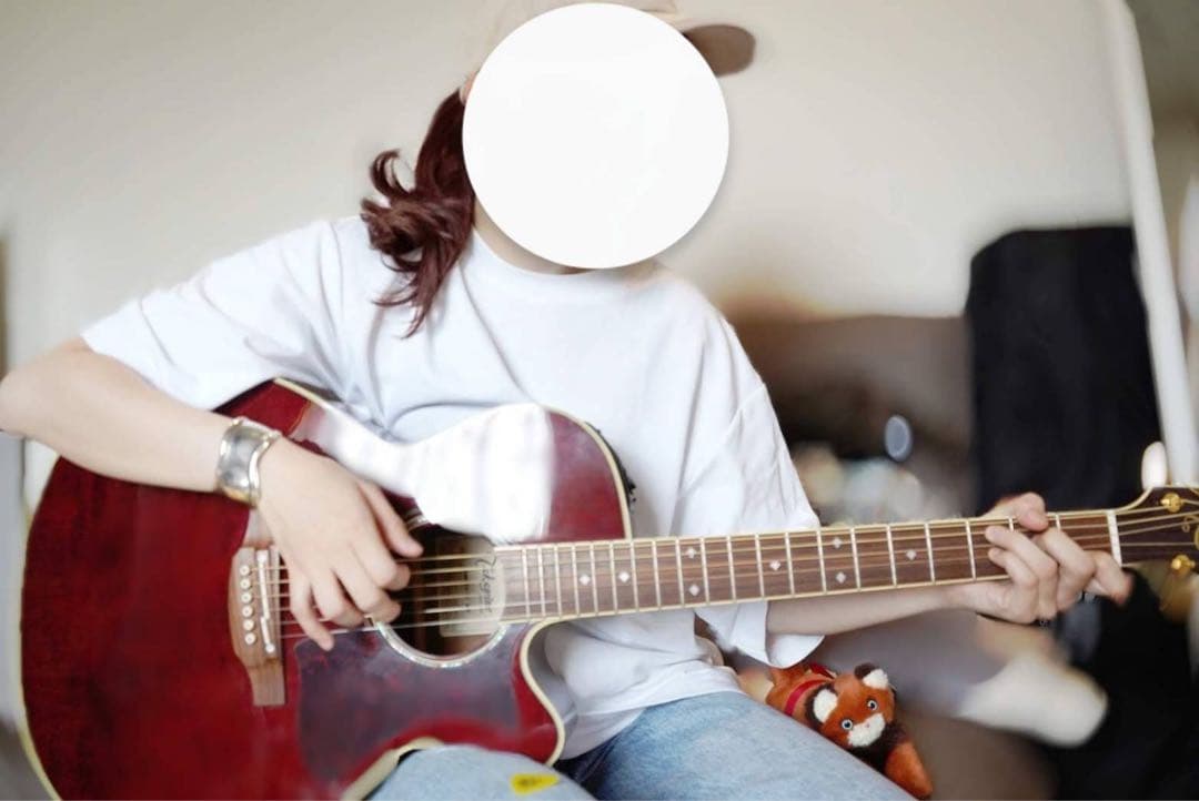 美品 Takamine DMP551C アコースティックギター 生産完了品 Takamine TAKAMINE DMP551C WR (スペア弦＆レビュー特典付き) タカミネ