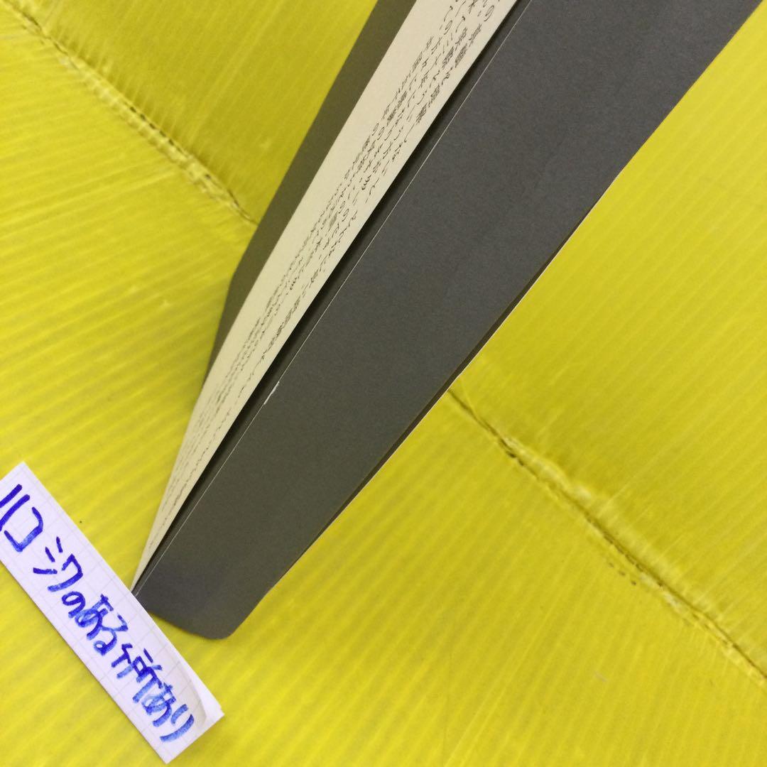 気功革命 秘伝奥義集大成 盛鶴延著