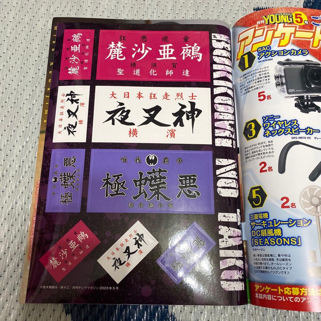 月刊ヤングマガジン付録 特攻の拓 夜叉神 極蝶悪 麓沙亜鵺 特攻の拓