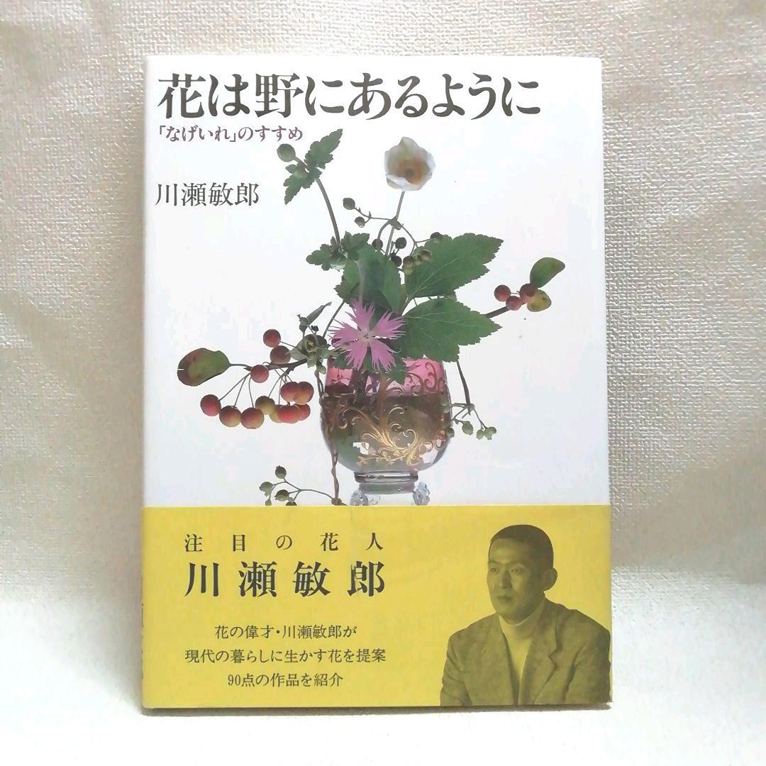 花は野にあるように なげいれのすすめ 川瀬敏郎 - メルカリ