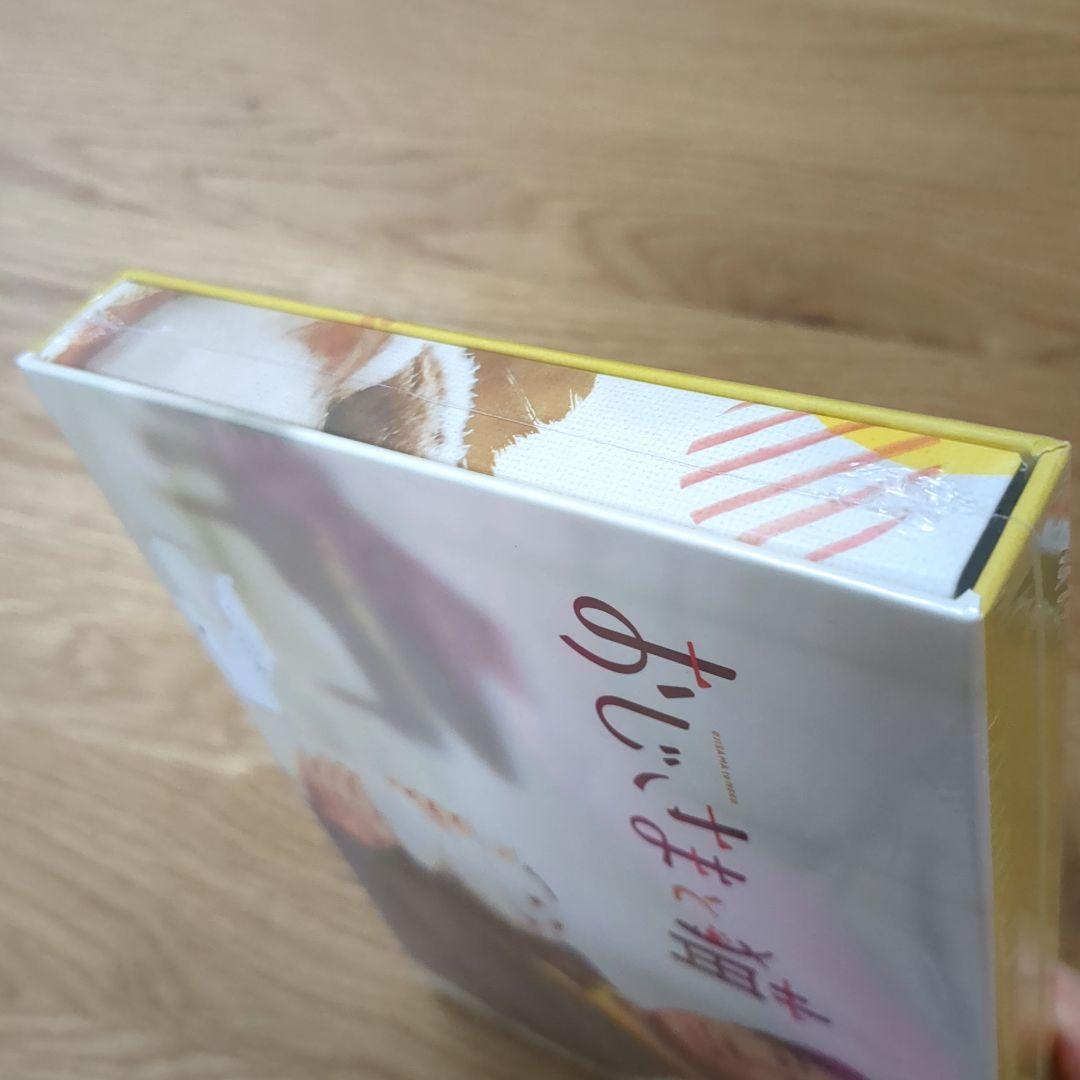 【未開封品】おじさまと猫 DVD-BOX〈4枚組〉