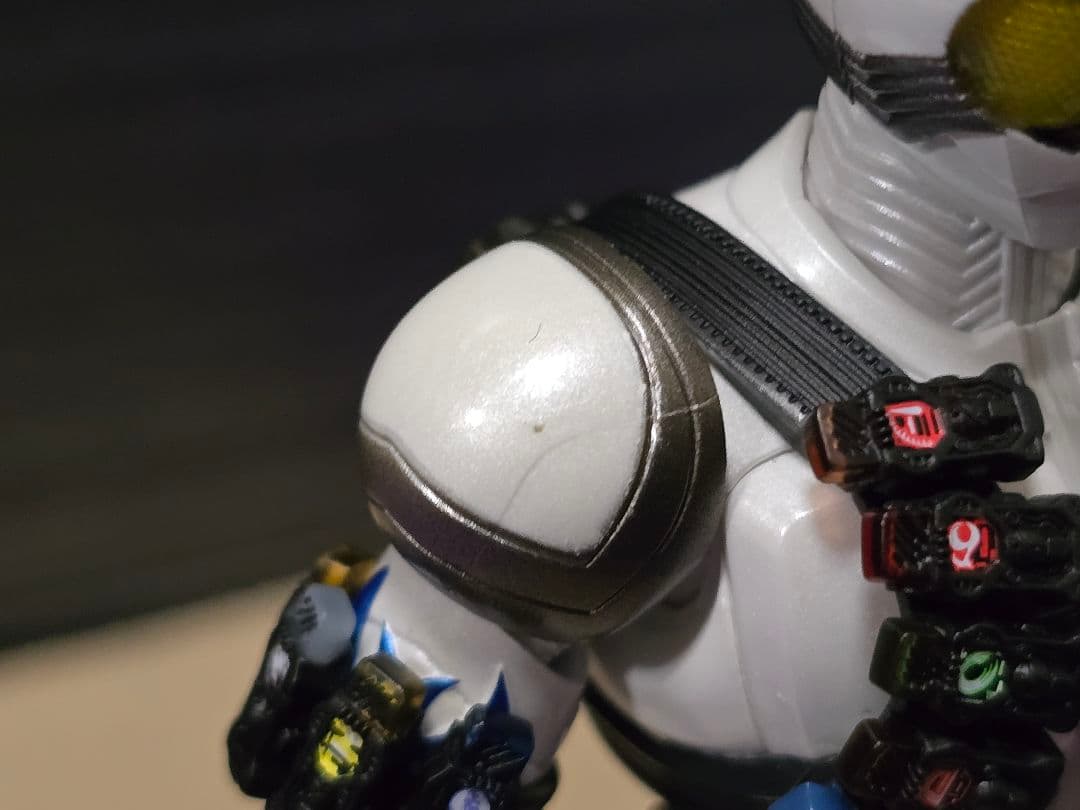 S.H.Figuarts 真骨彫製法 仮面ライダー エターナル