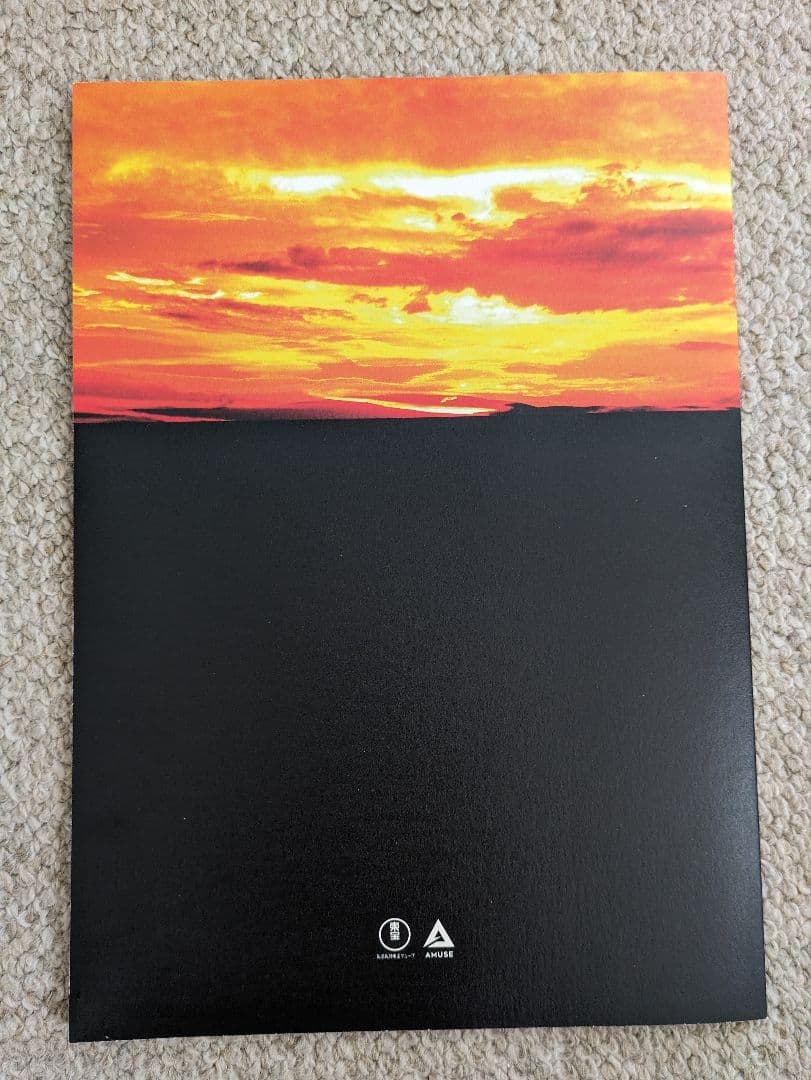 ホイッスル・ダウン・ザ・ウィンド〜汚れなき瞳〜 パンフレット - メルカリ