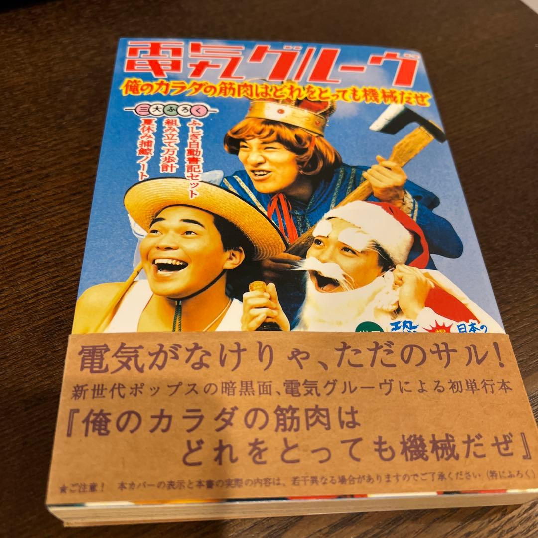 【超激レア】電気グルーヴ 俺のカラダの筋肉はどれも機械だぜ