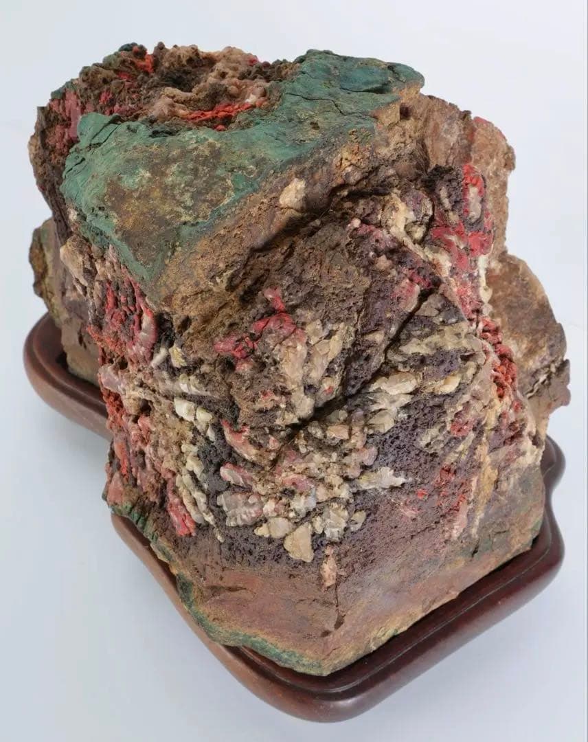 天覧 天然菊花石 大輪 6.5kg 台座付 鑑賞石 盆石 水石 自然石 美石