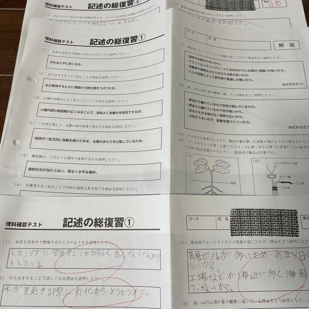サピックス 理科 記述の総復習 全18回 - メルカリ