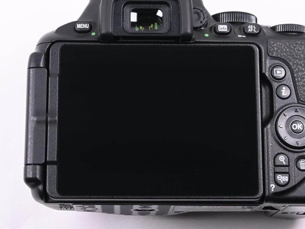 【美品】 ニコン　Nikon D5600 ダブルズームキット《ショット数218》