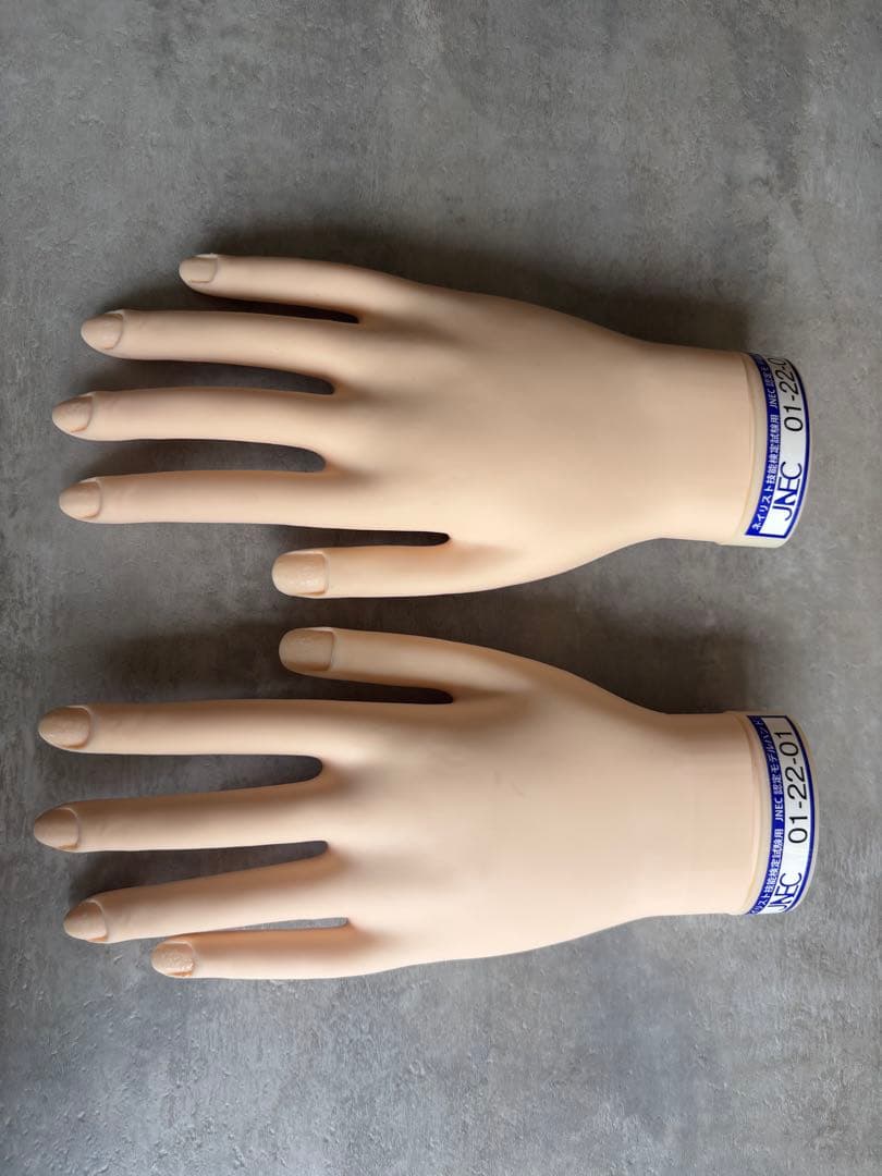 【条件付きでお値下げ可】JNEC認定モデルハンド ネイリスト技能検定 rednails web channel / ♪STモデルハンド セット(JNEC 第1期認定