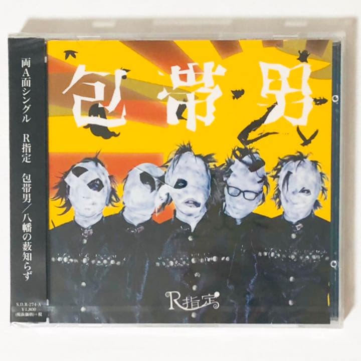 V系★R15★R指定★CD＋DVD★8点セット