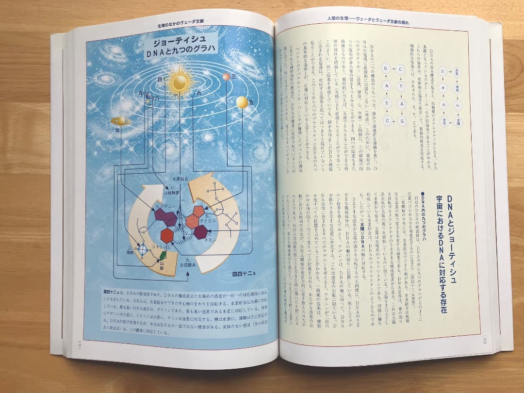 希少》人間の生理｜TM瞑想 × ヴェーダ科学の研究書（トーニー・ネイダー