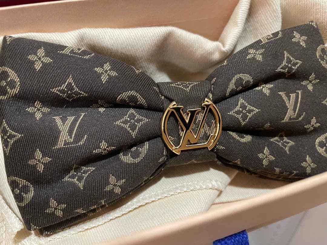 LOUIS VUITTON ヘア バレッタ LOUIS VUITTON（ルイ・ヴィトン） 【広尾店】ルイヴィトン クルーザー