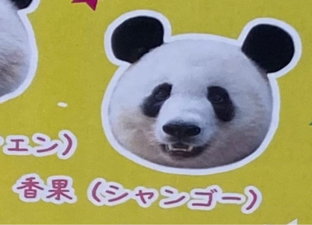 限定品】「シャンゴー」アクリルキーホルダー ウエノデ.パンダ 春節祭