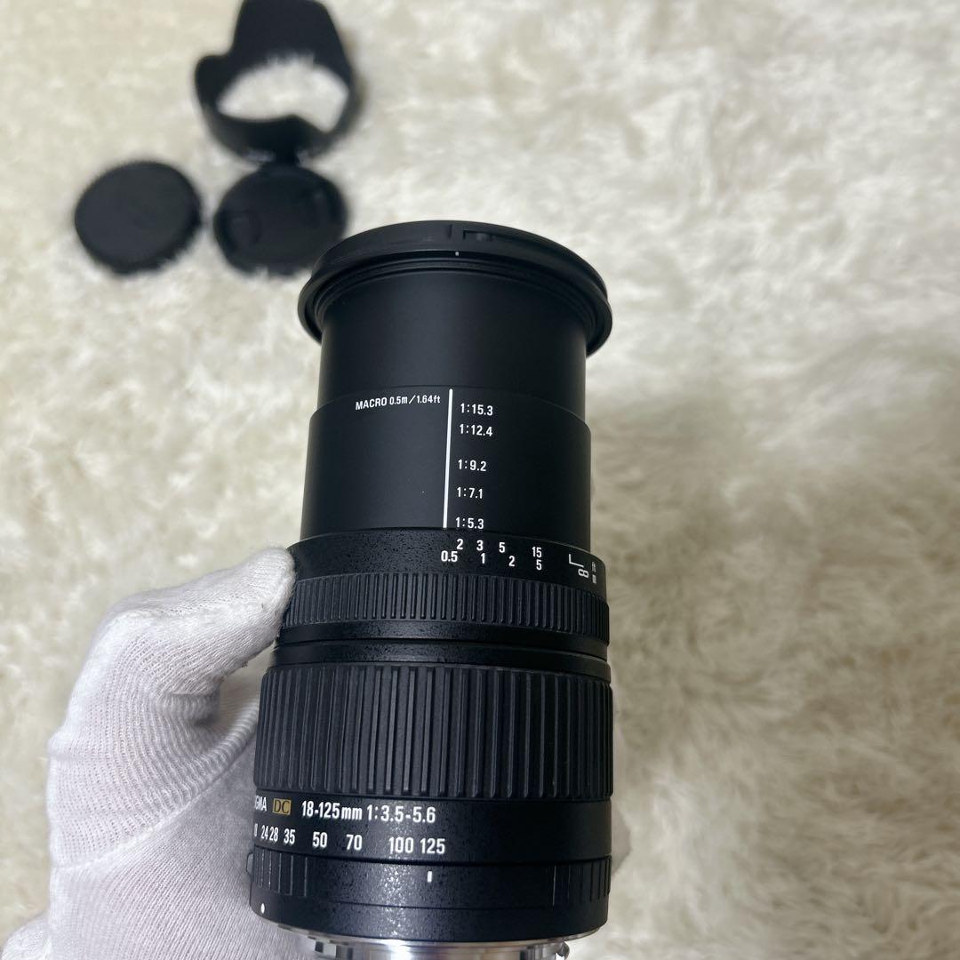 SIGMA シグマ AF 18-125mm F3.5-5.6 DC Canon用